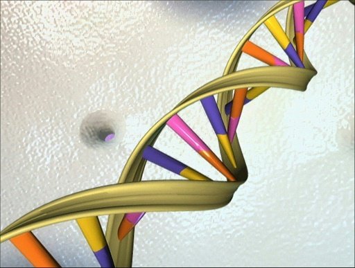 GENE