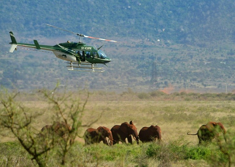 afp-tracking-elephants-as-new-railway-cuts-kenya conservation