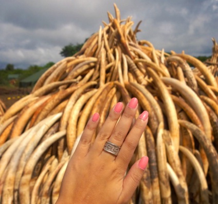 our2cents ivory burn susan wong sharon mundia