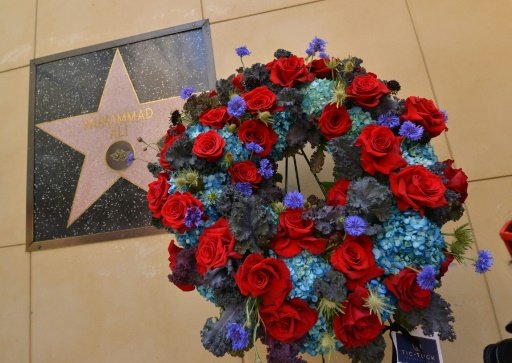 muhammad ali hollywood star