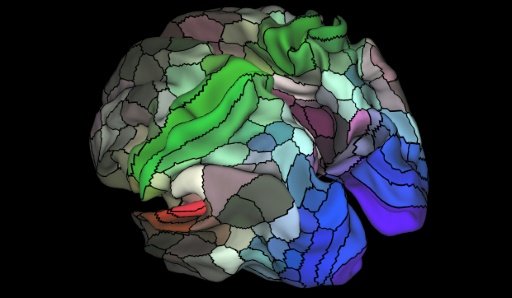 map of the brain