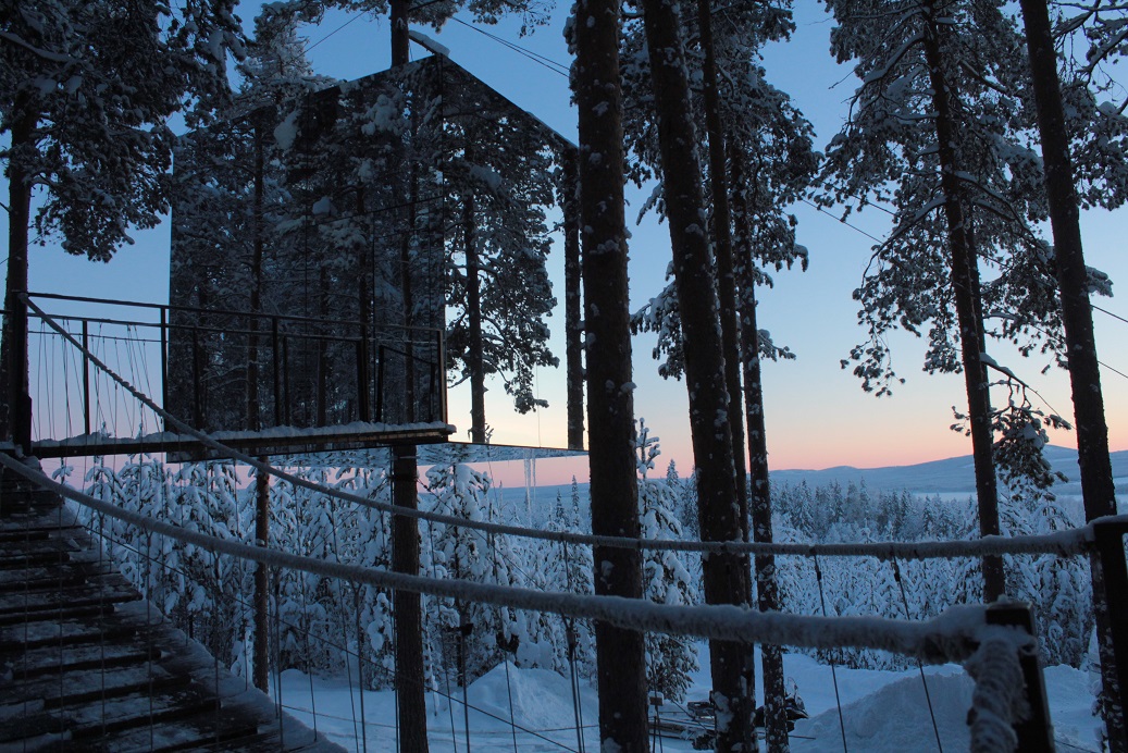 travel treehouse