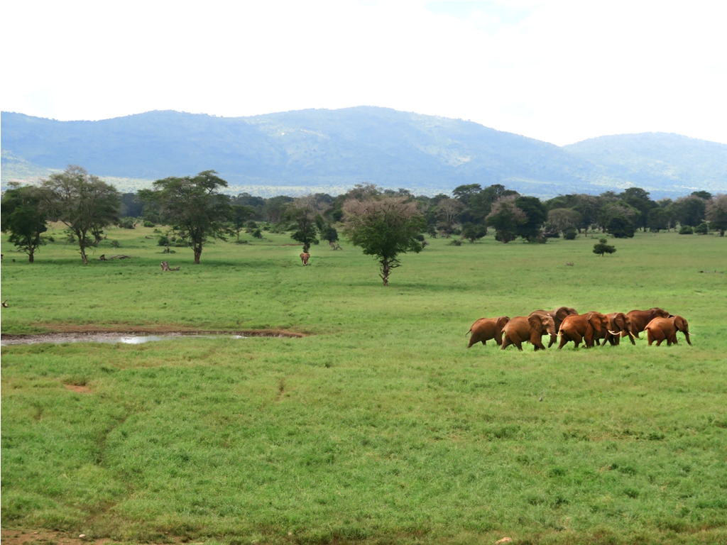PHOTO: Taita hills sanctuary, Tsavo West National Park / Susan Wong