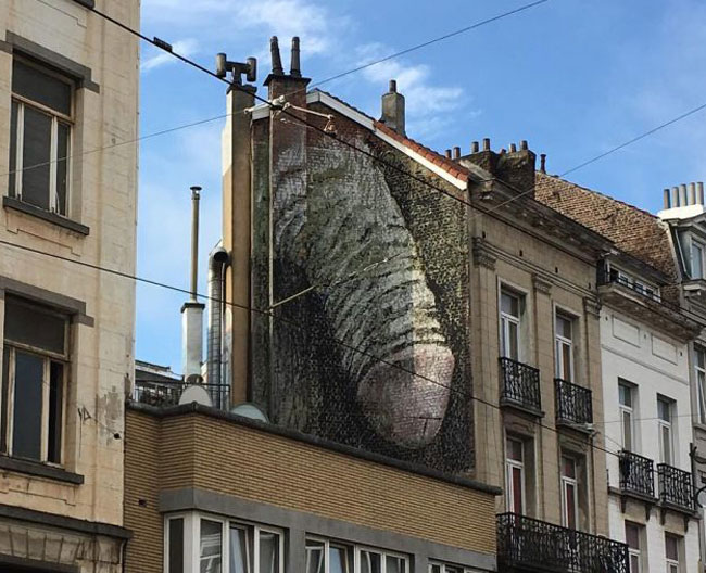 penis-bilboard