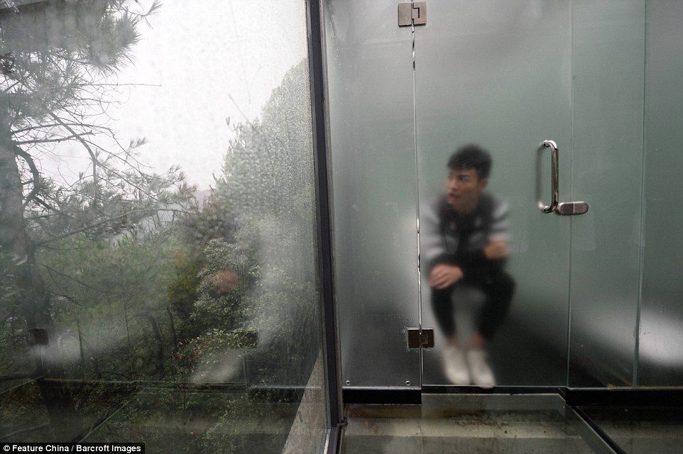 tree-top-glass-toilet