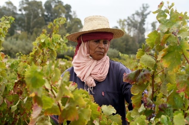 tunisia-wine-tourism