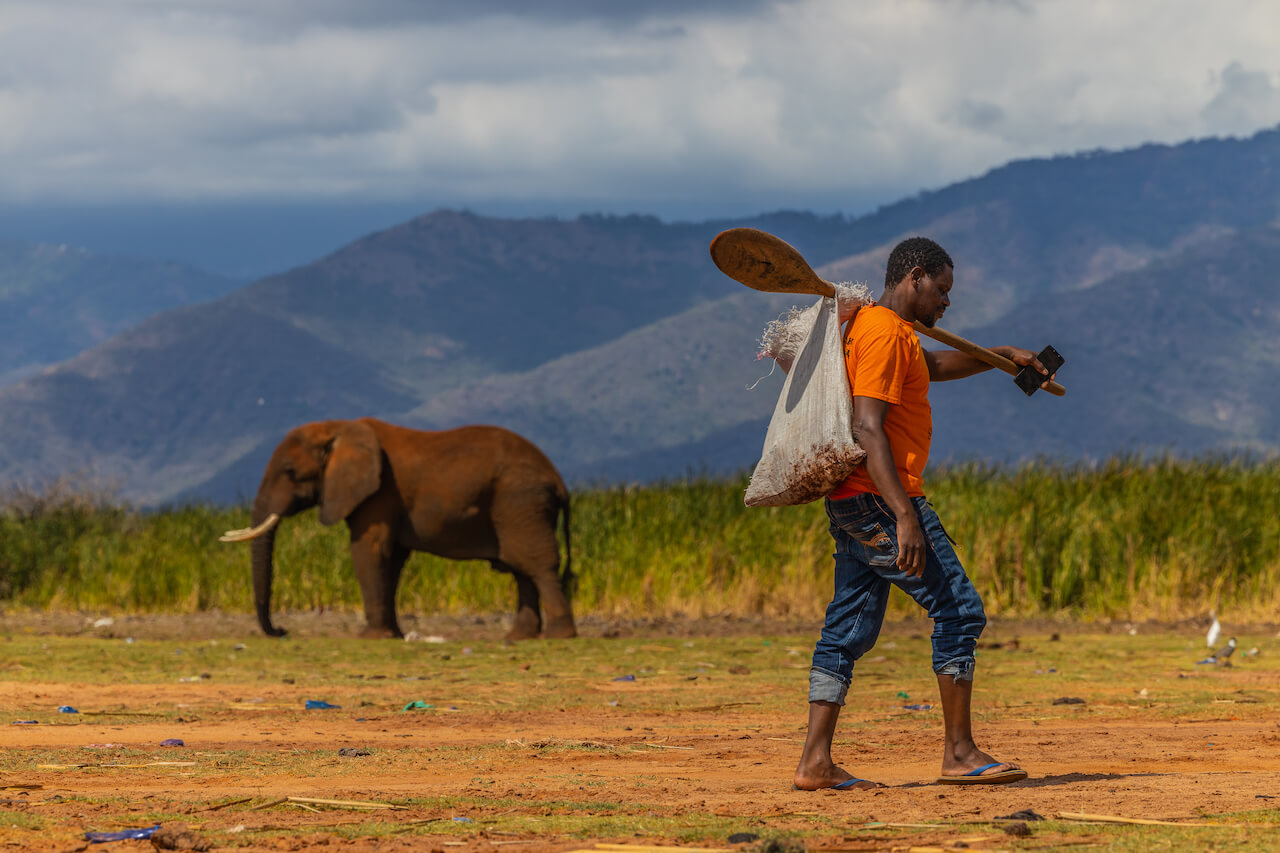 The Lake Jipe community living harmoniously with elephants