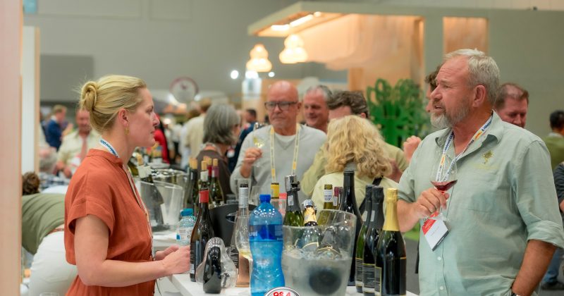 First Sips of the Motherland: Inside the Cape Wine Festival
