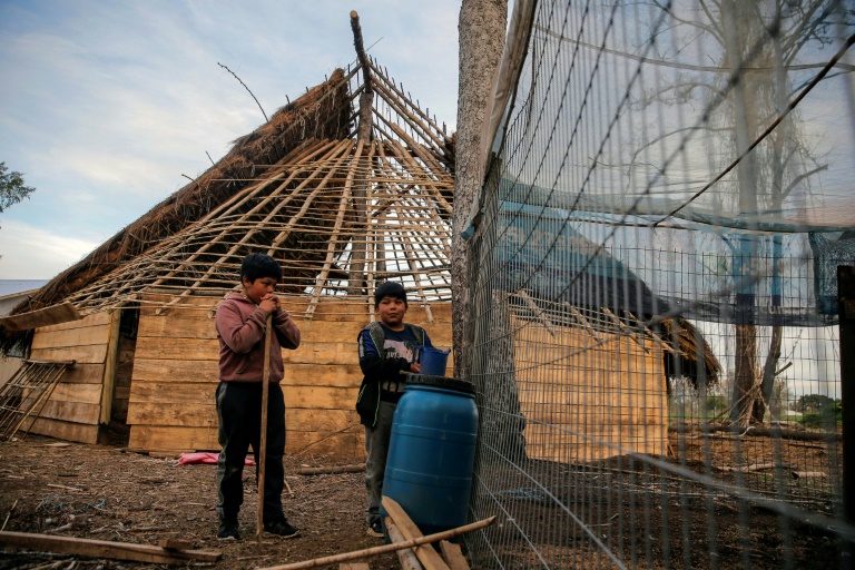 Mix of hope, skepticism among Mapuche as Chile rewrites constitution