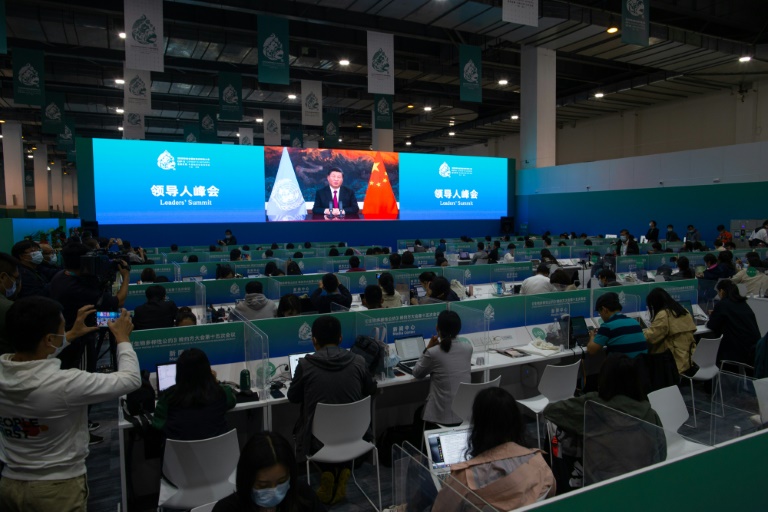 China pledges $233 million to global biodiversity fund
