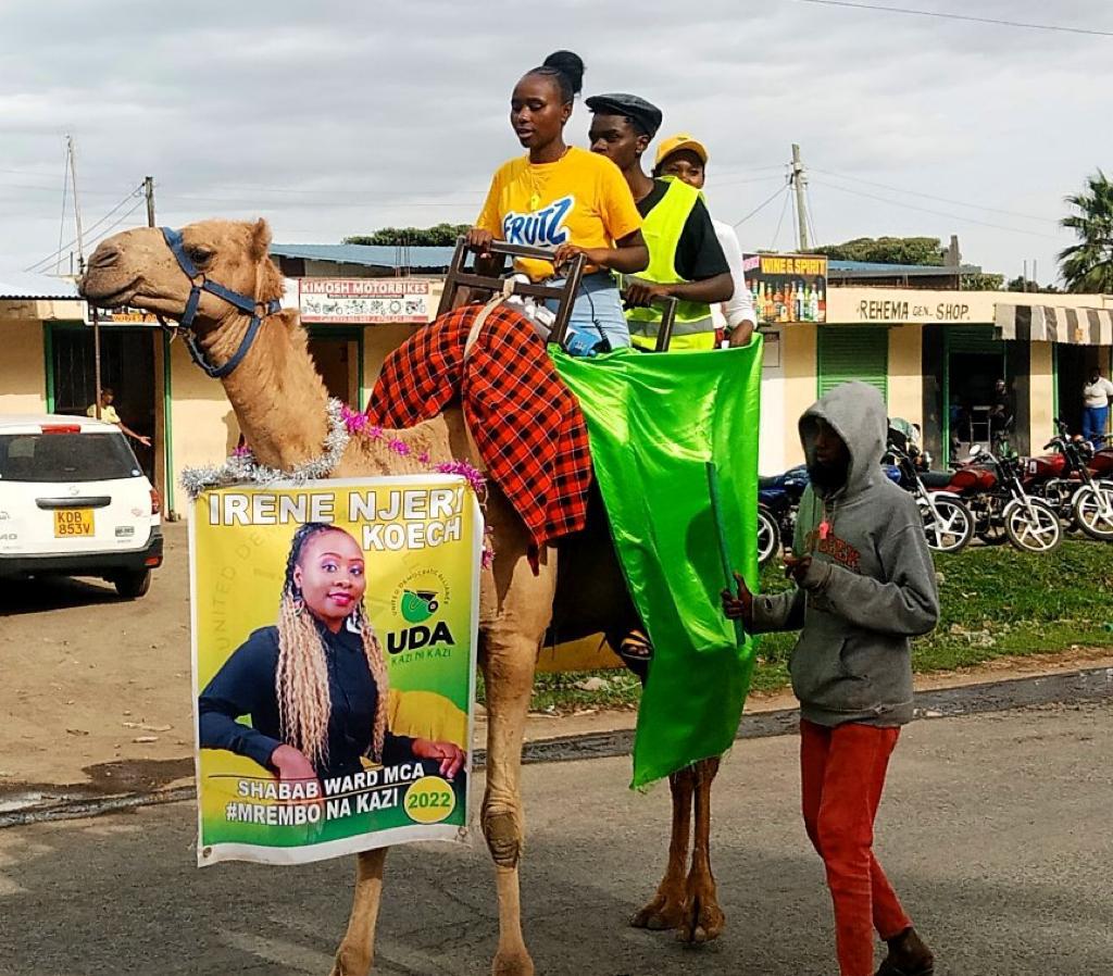 24-Yr old Nakuru MCA aspirant uses camel to campaign