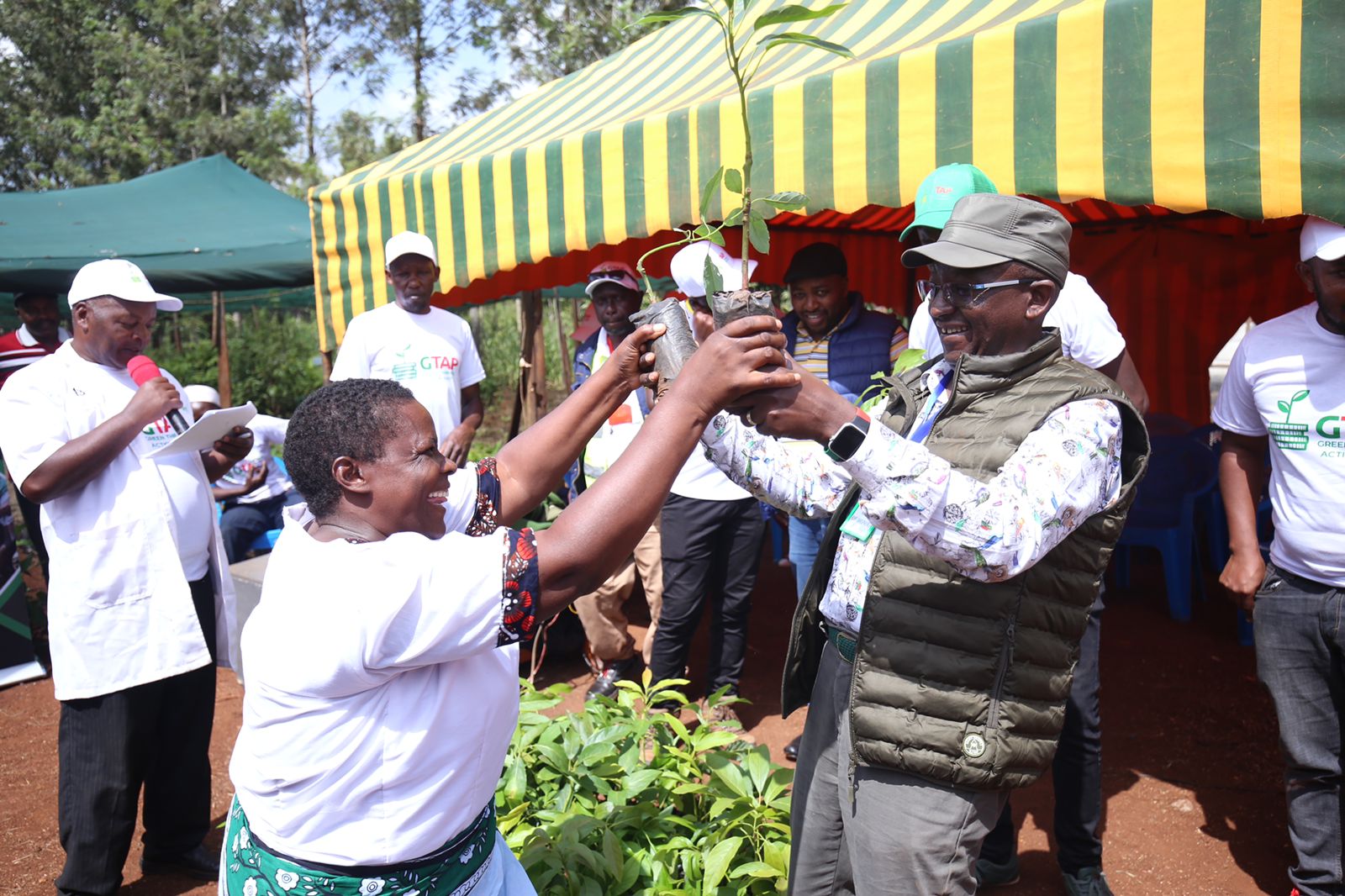 How “plant your age” movement can catalyse Ruto’s forest cover demand