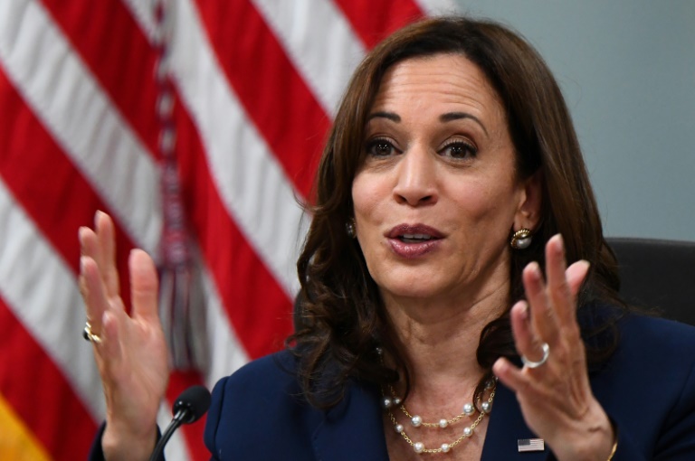 Kamala Harris formally chosen as Democratic nominee