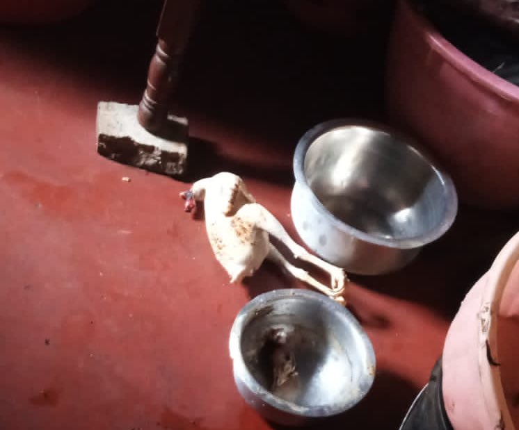 Employee seeks witchdoctor services to evade arrest after stealing from employer