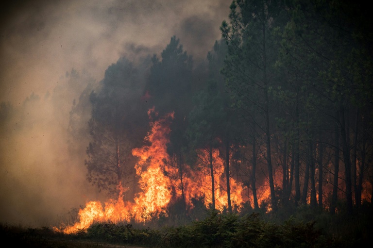 Nobel Peace Prize could sound alarm over Ukraine war or climate