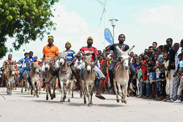 All set for Lamu Cultural Festival