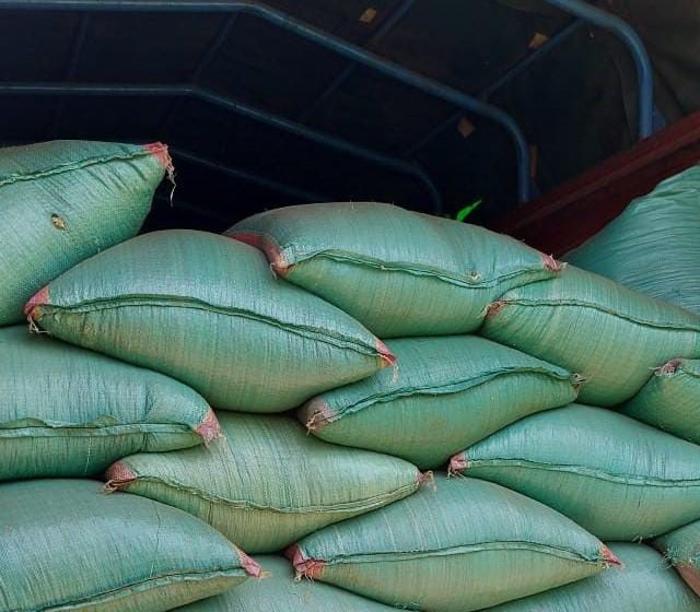 Gov’t To Allow Import Of Duty-Free GMO Maize For Six Months