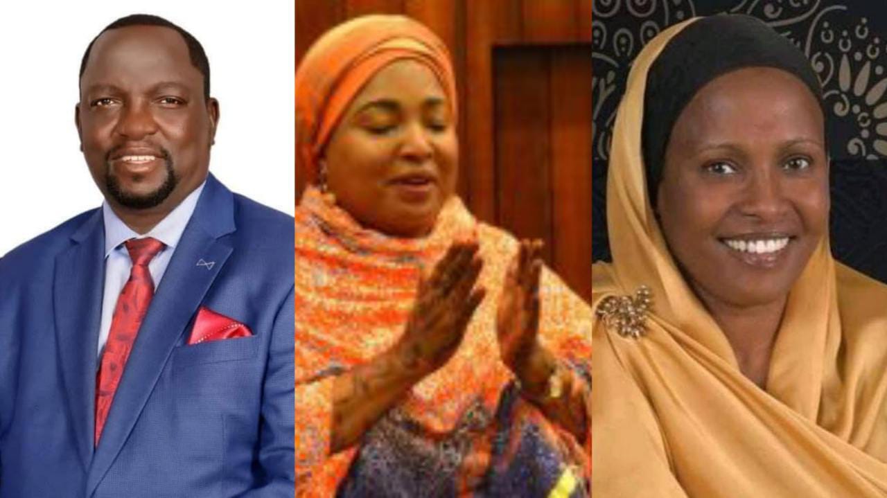Mishi Mboko, Fatuma Dullo, Patrick Makau among 7 MPs approved to PSC