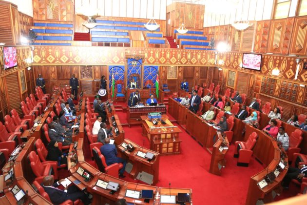 Senators demand enforcement of traffic rules amid rising road accidents