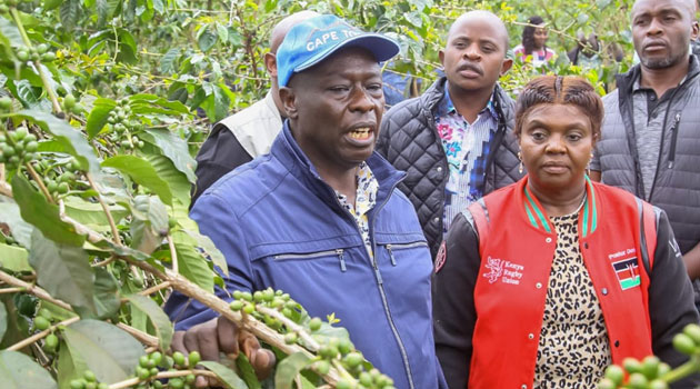 Tea, coffee stakeholders to convene for national conference in 2 weeks