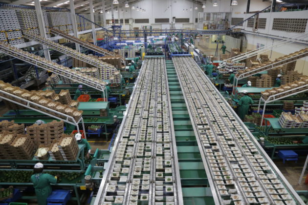 Let’s power Kenya to the top of the global superfoods’ exporters’ table
