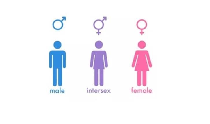 KNCHR seeks public views on the Intersex persons’ bill