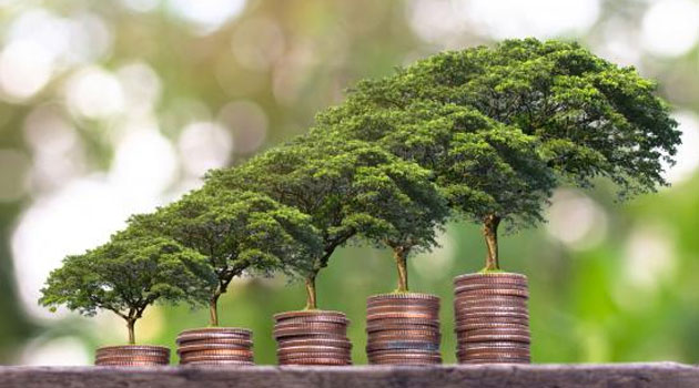 Green growth: an indispensable strategy to avert climate crisis
