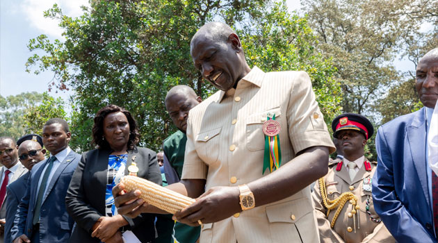 Reforms in agriculture, livestock sectors yielding returns: Ruto