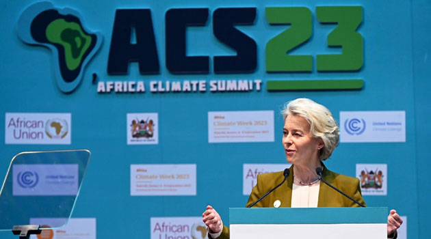 EU seeks joint proposal with Africa on global carbon pricing ahead of COP 28