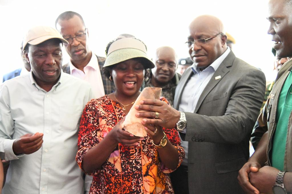 Govt unveils toll free hotline for reporting illegal logging