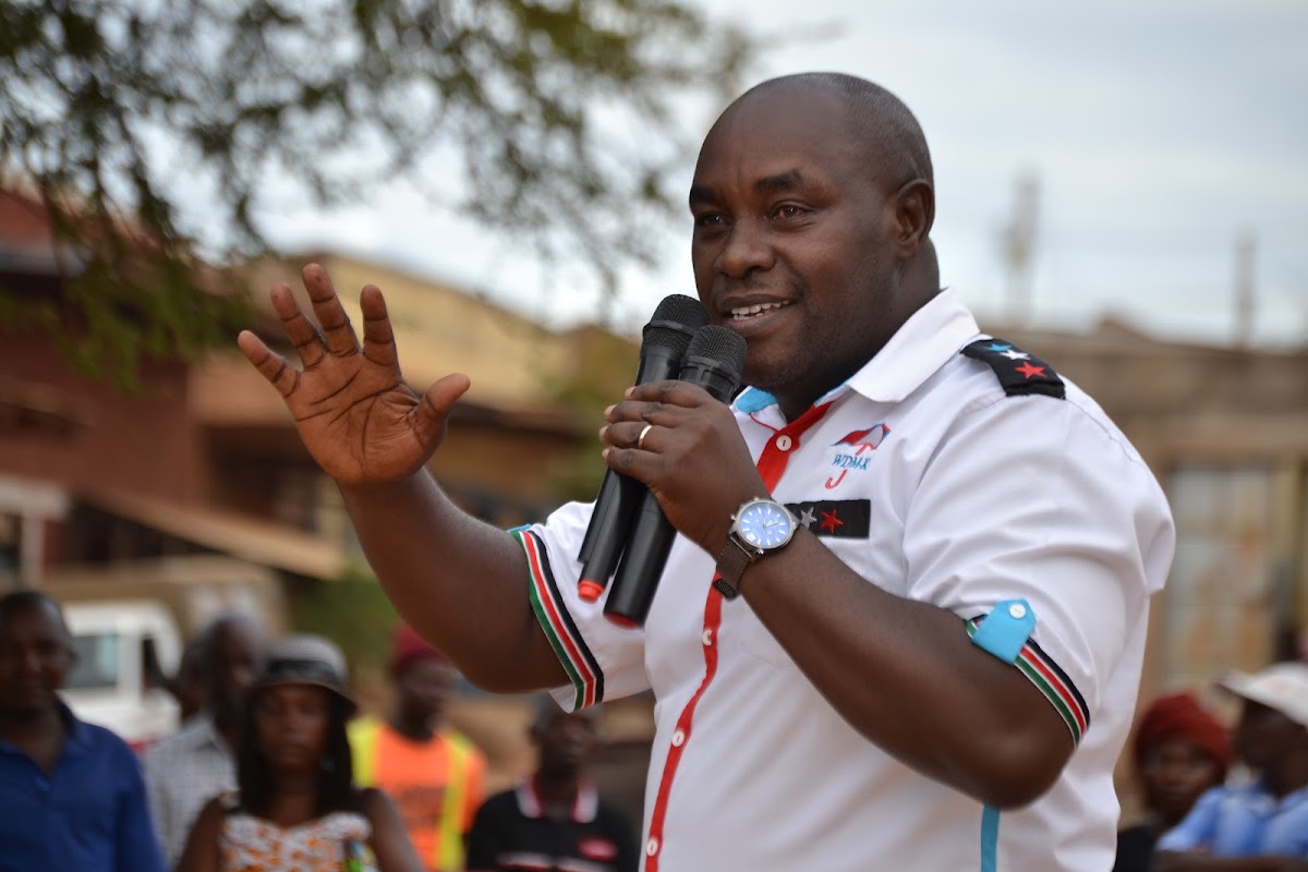 Wambua, Murungi and Methu top performing Senators in Politrack Africa poll