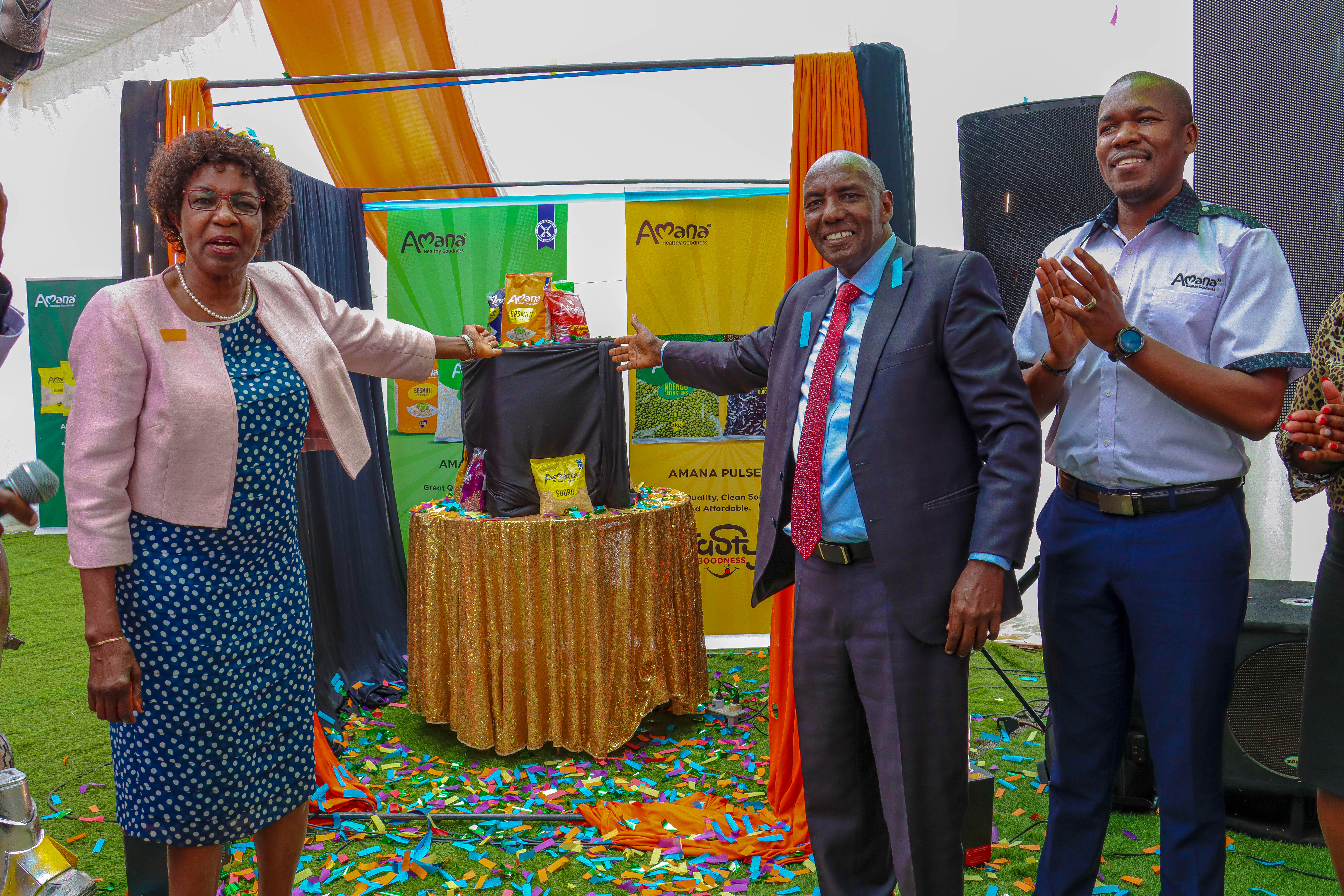 Climate action: Unga Group goes green with Kshs 300 million solar power project
