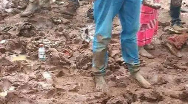 Senator Cherargei fingers CS Ababu for Mashujaa day stampede