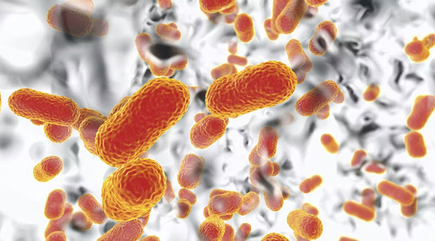 Antimicrobial resistance is a silent killer that leads to 5mn deaths a year. Solutions must include the poor