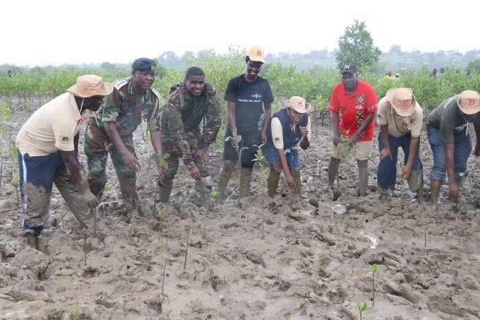 Kenya declares Monday public holiday to plant trees during rainy season
