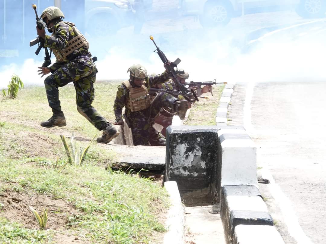 Kenyan Marine Commando Unit Showcases Elite Skills Before Royals and President Ruto