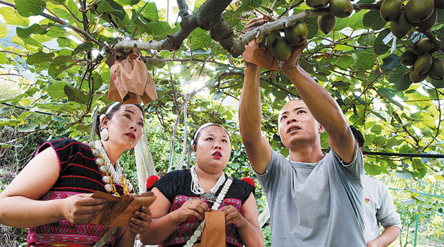 Xizang aims for steady economic growth this year: China Daily