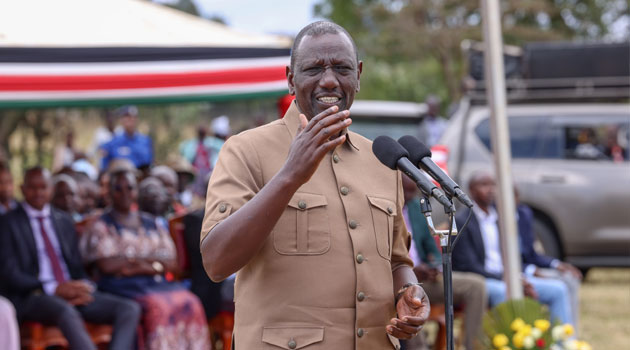 Ruto roots for apolitical approach to deliver food security, UHC