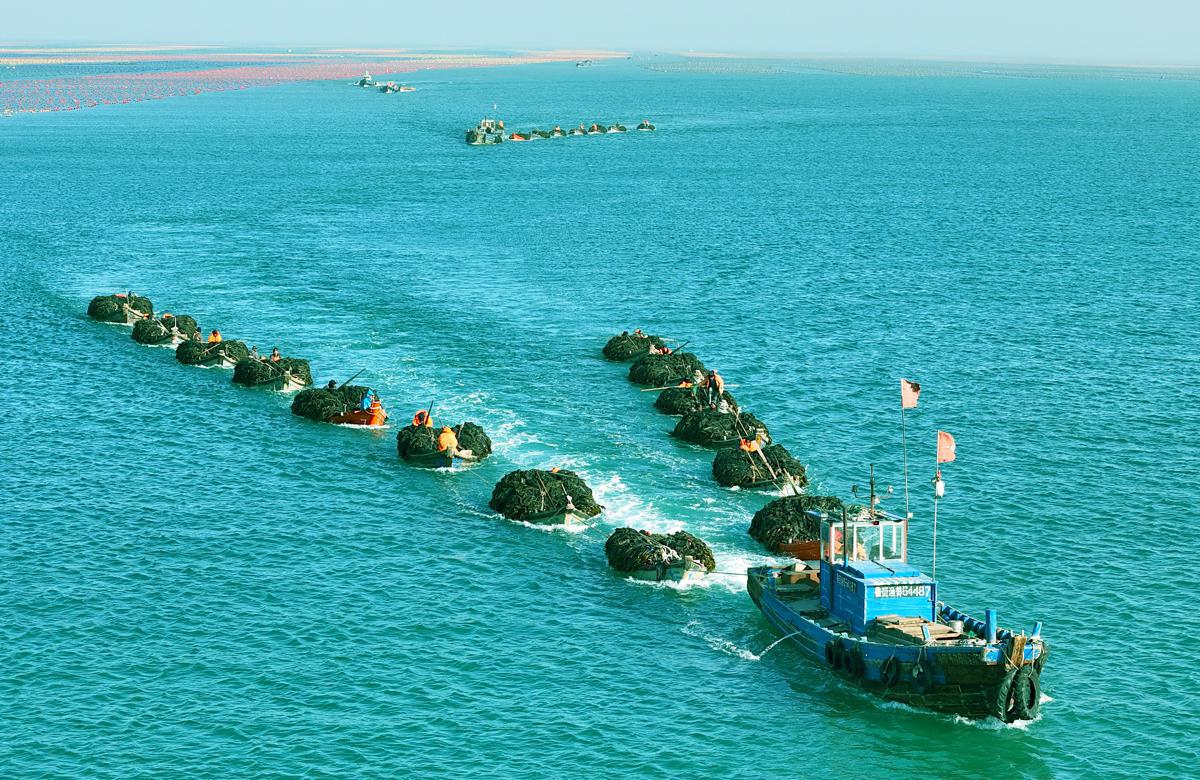 Experts call for blue economy synergy – China Daily
