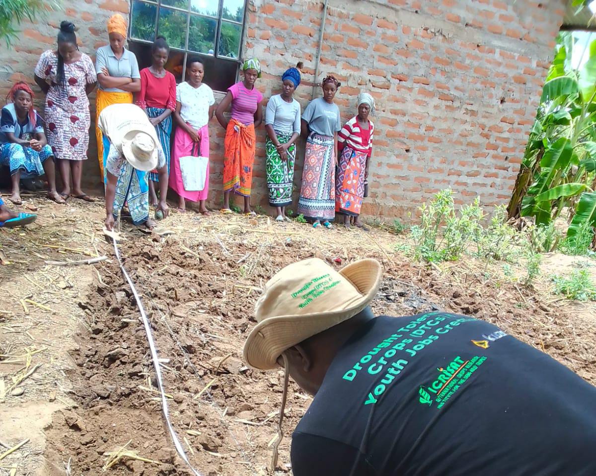 Young farmers in dry regions benefit from profitable farming training