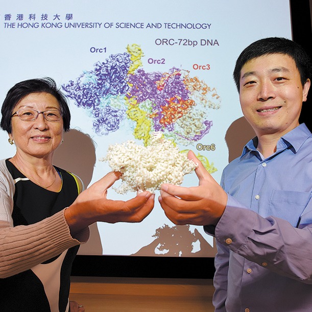 Scientist uses high-def tech to delve deeper into DNA – China Daily
