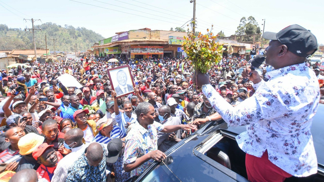 Ruto tasks Kilimo House to lead consultations on Muguka Regulations