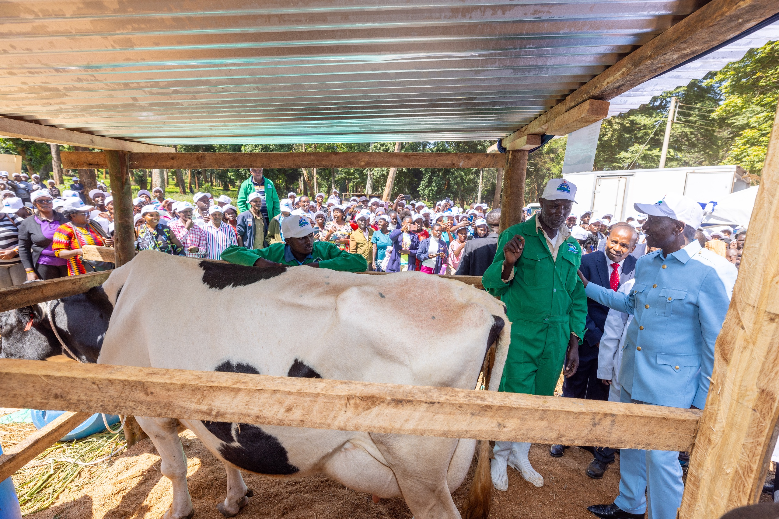 Govt committed to supporting farmers, President Ruto says