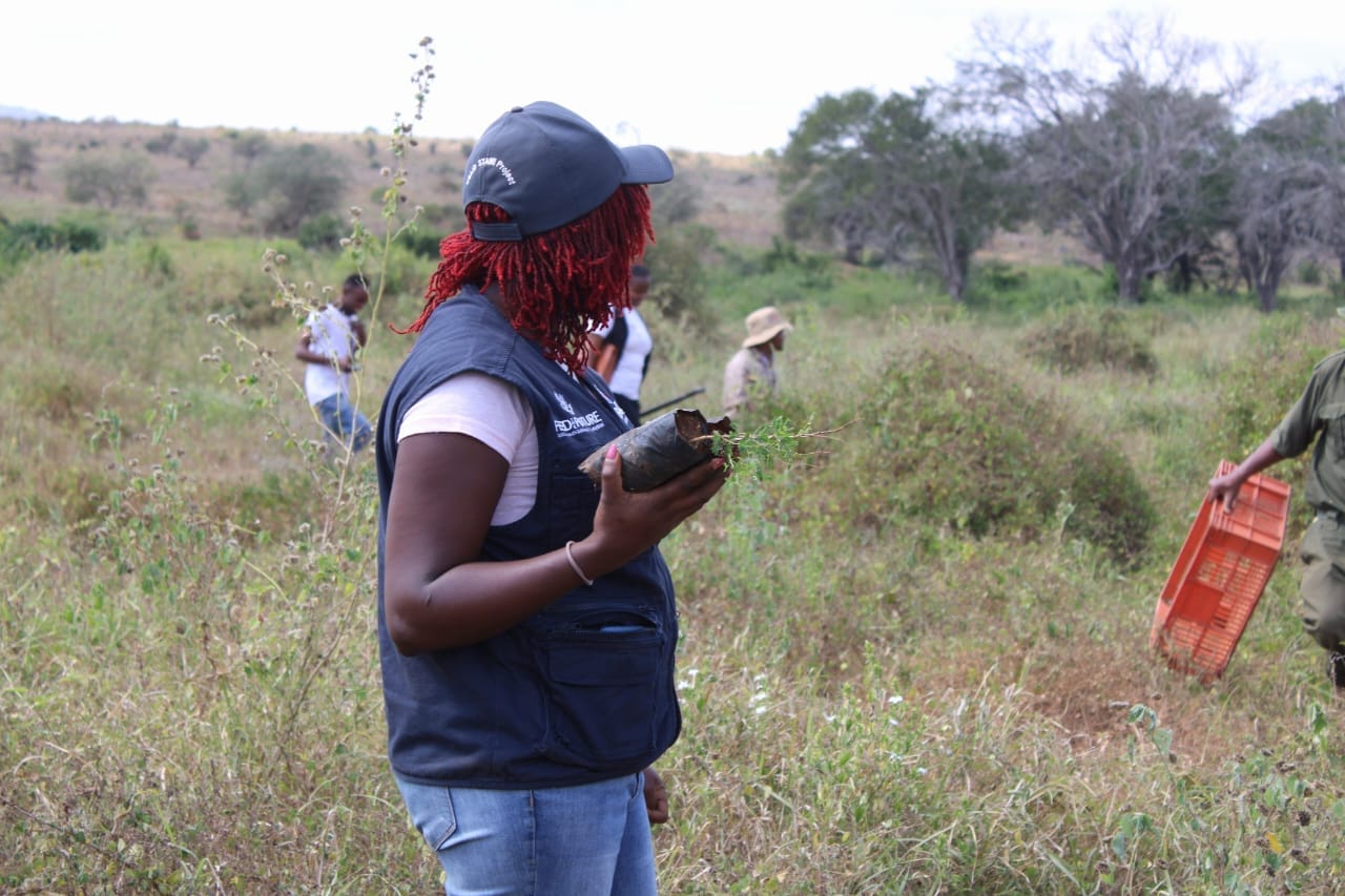 Taita Taveta on course to reforest 360,000 hectares: official