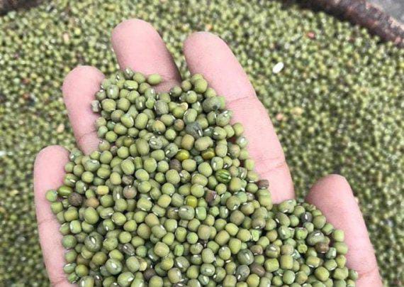National Assembly, Senate to form team to unlock Mung Beans Bills impasse