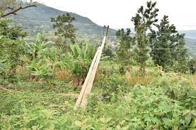 2 dead in seperate electrocution incidents in Nyeri and Nakuru