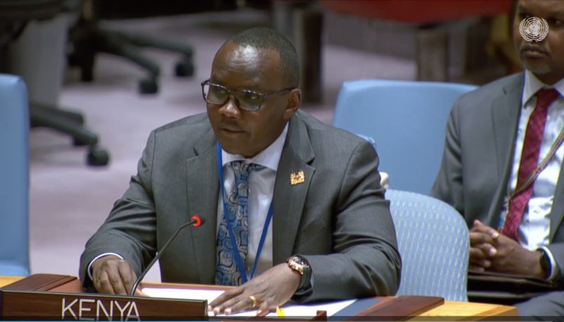 Kenya’s Lokaale appointed to facilitate UN Summit Review