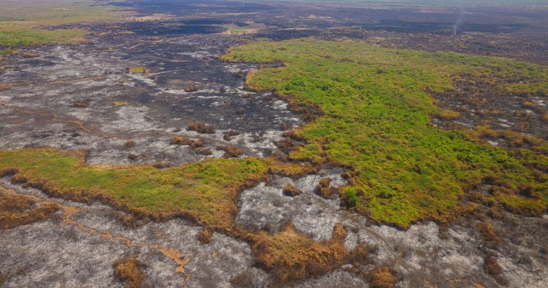 Isiolo wildfire contained as government warns against reckless fires