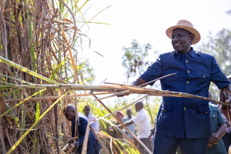 Ruto launches first-ever sugarcane farmers’ bonus at Mumias Sugar