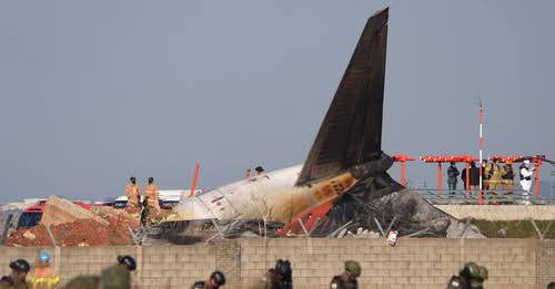 Bird feathers found in engines of crashed Jeju Air jet